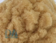 CATION (1).png