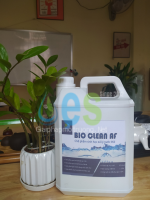 BIO (1).png